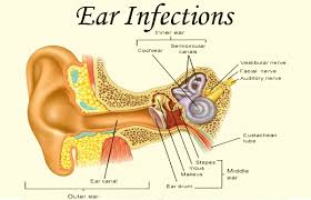 ear infection causes symptoms and treatment