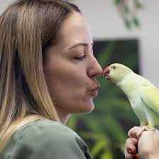 Fins and Feathers: A closer look at Colorado Springs' only pet bird rescue  and sanctuary