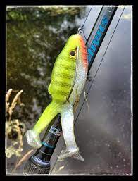 Pin On Fishing