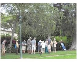 Image result for Cordia mukuensis