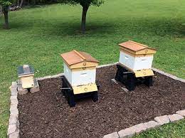Critical Decisions For Bee Yard Setup Perfectbee Backyard Bee Bee Keeping Backyard Beekeeping