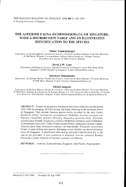 Natale d africa sub indo : Pdf The Asteroid Fauna Echinodermata Of Singapore With A Distribution Table And An Illustrated Identification To The Species