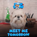 JOJO | SUPER DOGS EPISODE 1 Releasing tomorrow! 🐶💙 Tag a friend ...