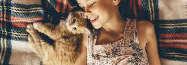 Lilies (lilium spp and hemerocallis spp) are extremely toxic to cats and can kill them. Rspca S Tips On How To Keep Your Cat Healthy Canstar