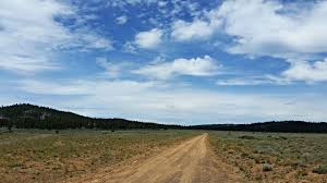 Click to see our best video content. 2015 Lost And Found Gravel Race Results 100 60 Mile Lake Davis Ca