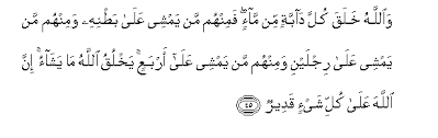 Va kul lil mu'mineati yaagdudna min absearihinna va yaahfaazna furoocahunna, va lea yubdeena zeenatahunnaillea mea zaaharaa minhea, val yaadribna bi humurihinna aalea cuyoobihinna. Surah An Nur Arabic Text With Urdu And English Translation