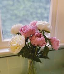 We did not find results for: Allen S Flower Market Long Beach Home Facebook