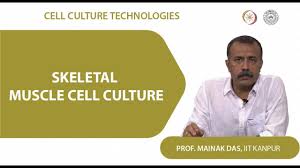 Maybe you would like to learn more about one of these? Nptel Noc Cell Culture Technologies Biotechnology