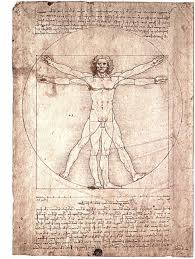 Résultat de recherche d'images pour "nombre d'or corps humain"