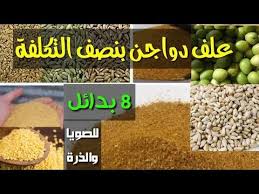 خفض تكلفة العلف للنصف 8 بدائل لفول الصويا والذرة فى صناعة الأعلاف بدون الإخلال بالطاقة و البروتين youtube in 2021 vegetables corn food