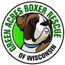 Detroit bully crew inc (shelter #1113418) x. For The Love Of A Boxer Rescue Sanctuary Michigan Home Facebook