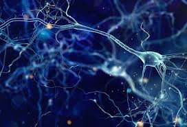 From person to person, ms symptoms can vary and change over time. 5 Early Multiple Sclerosis Symptoms Ms Treatment Life Expectancy