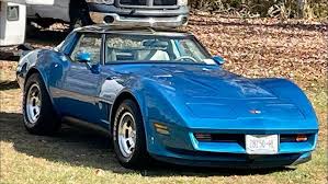 Image result for Bleu 1982 Fleet