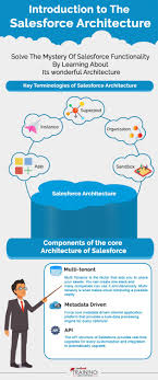 Have You Ever Wondered That What Is So Special About Salesforce How Does It Manage To Accomplish S Salesforce Domain Knowledge Social Media Marketing Business