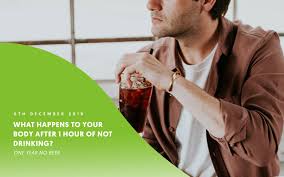 Formal treatment for alcohol addiction allows you to detox in a safe environment and provides comprehensive therapy to teach you. What Happens When You Stop Drinking Alcohol Benefits Of Not Drinking