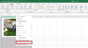 Excel Bild In Eine Zelle Einfugen Und An Die Zelle Binden Tipps Tricks