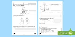 Ks3 Gas Exchange Homework Activity Sheet Homework Gas Exchange Breathing Inhaling Inhale Exhaling Exhale Science Teaching Resources Homework Activities