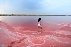 Le Lac Hillier En Australie Est Tout Rose 9 Lake Hillier Pink Lake Pink Lake Australia