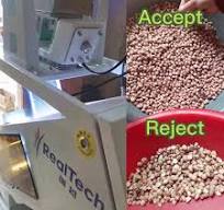 Cashew Nut Color Sorter Machine with CCD Camera Separate Machine for Small  Factory Suitable