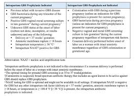 Image result for Group B Streptococcus Prophylaxis