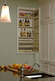 Making Use Of Space Between Studs For A Spice And Condiment Cabinet Lake House Kitchen Kitchen Wall Cabinets Home Kitchens