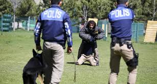 Emniyetin Hassas Burunlari