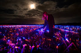 Just plug it in and grow. Daan Roosegaarde S Grow Installation Combines Lighting And Agriculture