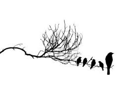 Silhouette Birds On A Branch Tattoo Vector Silhouette Of The Birds On Branch Bird Silhouette Tattoos Silhouette Tattoos Bird On Branch