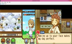 (mostly right, but not quite), there were some other role. 9 Best Nintendo Ds Emulators For Windows Pc In 2021