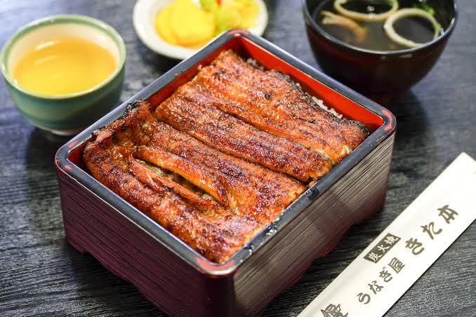高知グルメ】高知では珍しい関東風のフワッと柔らかな鰻が自慢「うなぎ屋 きた本」ほっとこうちオススメ情報 | 【高知県公式】高知県のあれこれ深掘りサイト「高知家の◯◯」