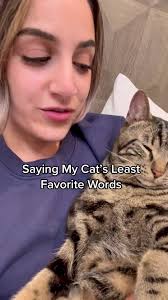 Cat Language Disapproval