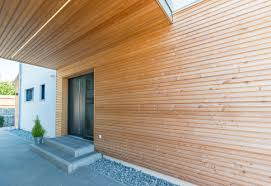 Eingangsbereich Haus Aussen Mit Podest Vordach Uberdacht Fassade Aus Holz Eingang Landhaus Modern Gestalt Fassade Haus Haus Aussen Haus Schmales Grundstuck