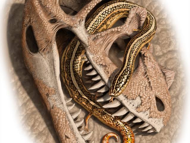 World's oldest snake reveals secrets of slithery evolution