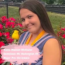 Delta Zeta Morehead State