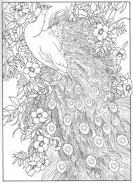 Peacock coloring pages for kids hello and welcome to the wonderful world of peacock coloring pages. Peacock Coloring Pages Designs Coloring Books Mandala Coloring Pages