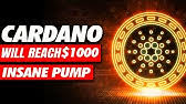Meanwhile, the coin's blazing speed means that the network might eventually handle up to a million transactions per. Cardano Ada News Today Cardano Price Prediction 2021 Youtube