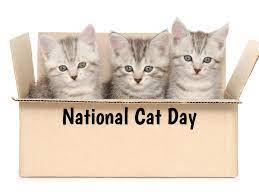 Many peoples love the cat. National Cat Day In 2021 2022 When Where Why How Is Celebrated