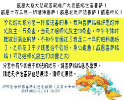 pin by 心灵正能量on 心灵正能量