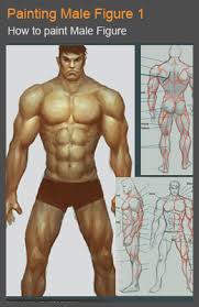 Guy Body Drawing Reference Look up references if you're having trouble. guy body drawing reference