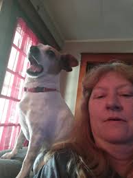 House for sale…..101 Cypress Street Prairie Grove