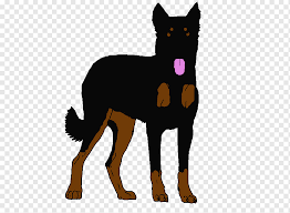 Dogs for adoption & rescue. Australian Kelpie Png Images Pngwing