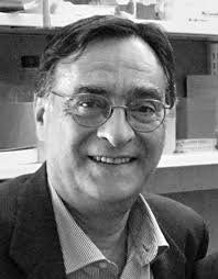 Editor-in-Chief Wilmar M. Wiersinga, Amsterdam Associate Editors Josef  Koehrle, Berlin (Basic Thyroidology) Peter Laurberg, Aalb