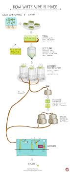 how is white wine made wine folly