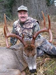 The typical desert mule deer has a comparatively small forehead patch and a dark line running partway down its tail. Our Best Mule Deer Hunts Montana Hunting Outfitter