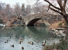Enchanted Film Locations Filming Locations New York City Locations
