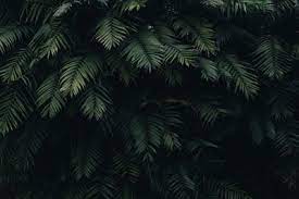 Download hd backgrounds on unsplash 90 000 Best Background Photos 100 Free Download Pexels Stock Photos