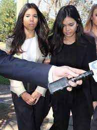 Charles teo am is an australian neurosurgeon. Charlie Teo S Daughter S Dangerous Driving Case Returns To Court Daily Telegraph