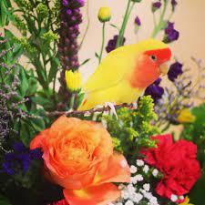 Can we have access to the barn before our event begins? Victoria Park Florist Home Facebook