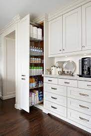 If you think matte or chalk surface kitchen cabinets are for you, consider a glass mosaic backsplash coupled with a nice engineered wood plank flooring. Floor To Ceiling Pull Out Pantry Cabinet Transitional Kitchen