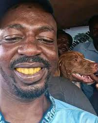 The rapping wasn't working, now ya'll tryna breed dogs😂😂😂